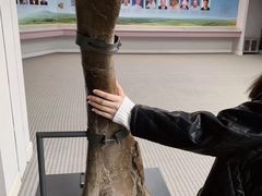 -辽宁古生物博物馆