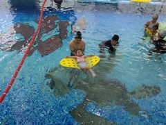 -尼莫亲子游泳NEMOSWIM(西美中心)