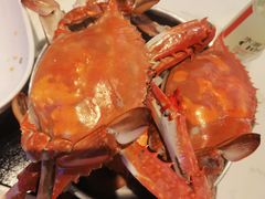 -半岛听涛蒸汽海鲜自助(K11店)