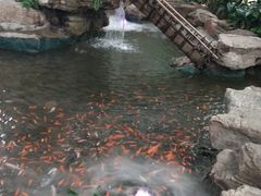 -森谷美食公园(杨行店)