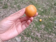 -苏州河梦清园环保主题公园