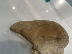 -生命奥秘博物馆