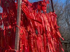 -帽儿山国家森林公园