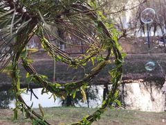 -长白岛森林公园