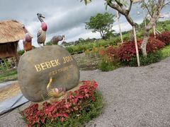 -Bebek Joni Restaurant