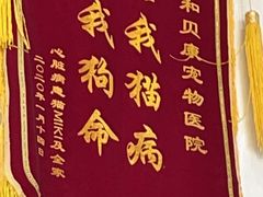 -谐和贝康宠物医院24小时·宠保定点(急重症转诊中心)