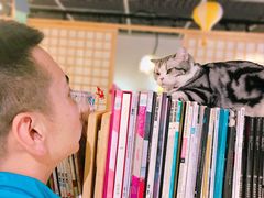 -小时光咖啡馆(开森度假森林店)