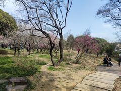 -无锡梅园公园