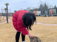 -上海怡沁园度假酒店