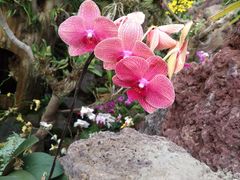 -南通洲际绿博园