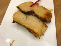 -一本钓鲔鱼屋