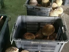 -宝盛园民宿