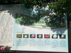 -扬州芍药园(仪征市)