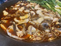 -都江堰石锅鱼