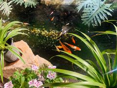 -聚缘堂·海鲜私房菜(松岭路店)