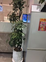 -LJOY丽锦造型·烫发染发
