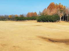 -象湖生态湿地公园