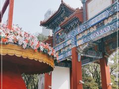 -迎泽公园