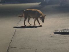 -泉州海丝野生动物世界