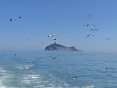 -海驴岛(荣成市)