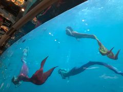 -瑞德姆美人鱼海底演艺主题餐厅(亚龙湾店)