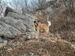 -北京鹫峰国家森林公园