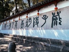 -严子陵钓台(富春江小三峡)