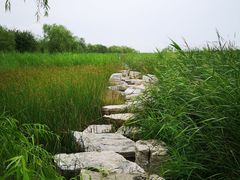 -绿堤公园