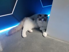 -零纪元VR体验馆·桌游(黄浦店)