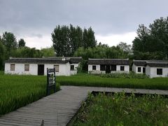 -溱湖国家湿地公园