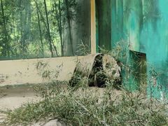 -杭州野生动物世界