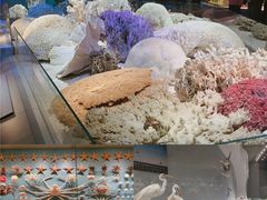 -贝林大翅鲸简餐厅(国家海洋博物馆店)