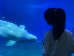 -泉城欧乐堡海洋极地世界
