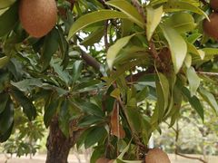 -中国移动南方基地