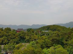 -金鸡山公园