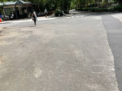 -大屏嶂森林公园