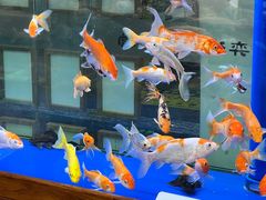 -弈海围棋学堂(夕照寺校区)