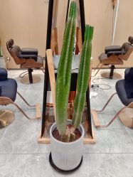 -IN STYLE·全国形象店