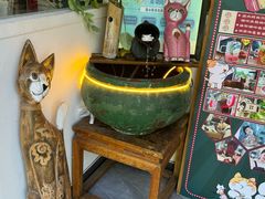 -猫小院猫主题餐厅(南锣旗舰店)