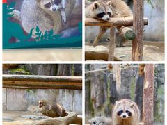 -杭州野生动物世界