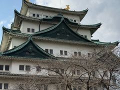 -名古屋城
