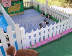 -萌宠亲子动物乐园(槐房万达店)