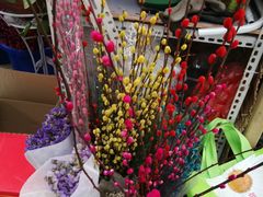 -秦美花卉(天朗·莱茵小城2期店)