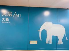 -虹桥综合交通枢纽-P6停车库