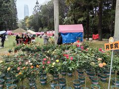 -人民公园(罗湖区)