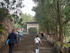 -泰山风景名胜区-普照寺