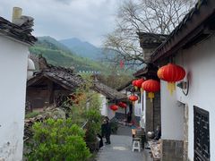 -后柳水乡
