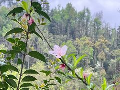 -青龙山国家森林公园