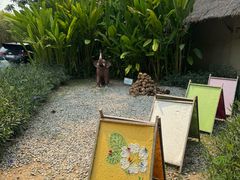 -大象粑粑造纸公园