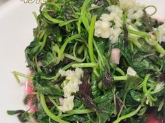 -梦都海鲜酒家(万达广场江桥店)